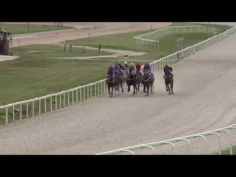 2020.07.26. 08. futam - PIGEON CATCHER HENDIKEP (IV.o.) (szintetikus pálya)