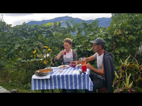 Albanian Stuffed Eggplant.
