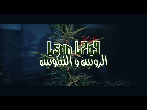 LSAN L7A9 - Routine & Nicotine (Official Music Video)