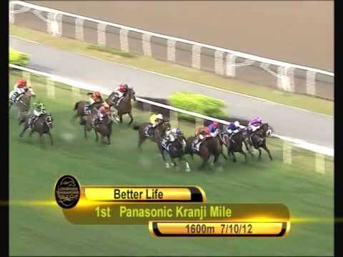 Longines Singapore Gold Cup 2012 Contenders (Better Life)