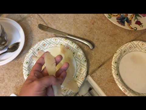 download lagu mp3 mp4 Pickerel Fish Taste, download lagu Pickerel Fish Taste gratis, unduh video klip Pickerel Fish Taste