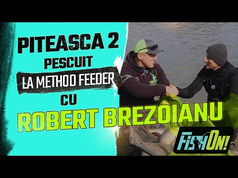 Cum sa pescuiesti la method feeder? lectie cu @RobertMethodFishing pe balta Piteasca 2