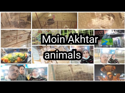 aaj Ham Gaye moin Akhtar park animals Full enjoy ZABARDASTH park 🏞️🏞️ Sarwat vlogs ♥️