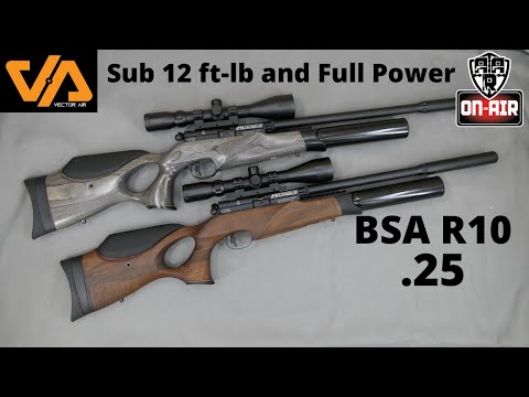 BSA R10th .25 cal sub 12 and FAC full review
