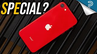 iPhone SE Review: Too OLD for $399?