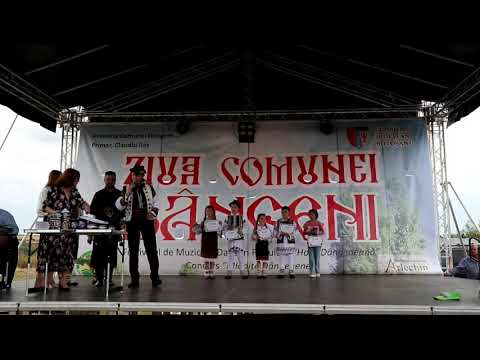 Botosani Online TV / Zilele comunei Dangeni