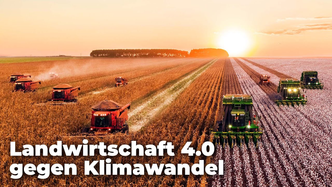 Video-Thumbnail von YouTube