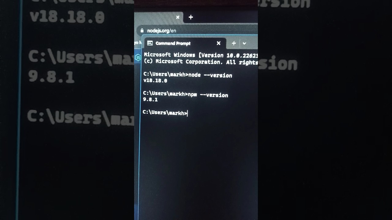 How to Install Node.js and npm on Windows