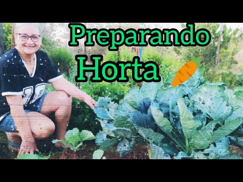 Fazendo Leiras e Capinei para Plantar.