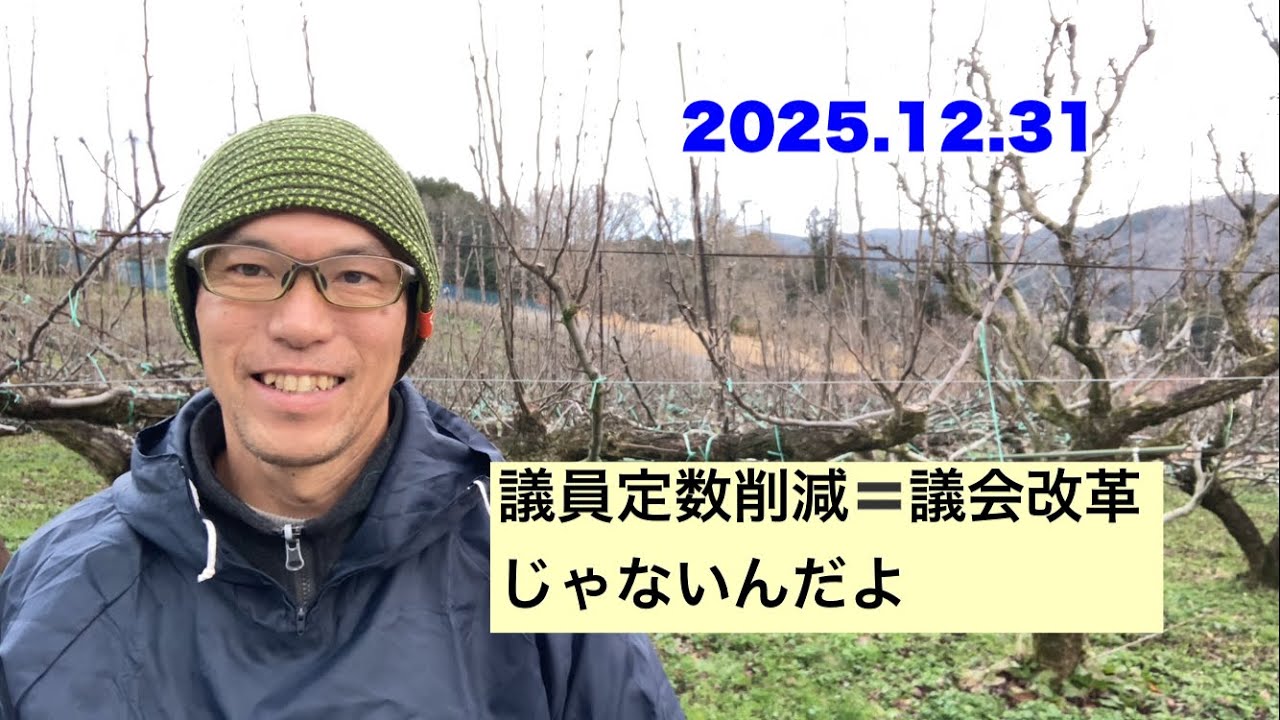 議員定数の公聴会に行ってきた話