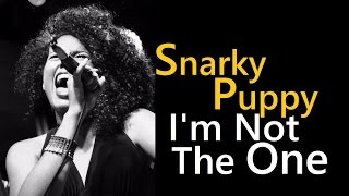 Snarky Puppy feat. Malika Tirolien - I'm Not The One - BELL LINS - (Cover) Family Dinner