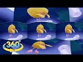 Where S Chicky Diving
