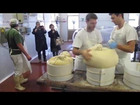 THE MOST EXPENSIVE CHEESE IN THE WORLD!!!