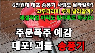 이가격실화! 6만원대 대형송풍기"낙옆치우기 재설작업 이거다! #대포송풍기 #대형송풍기 #송풍기 #에어송풍기 …