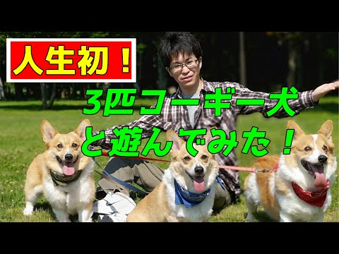 YouTube向けに動画編集いたします イメージ1