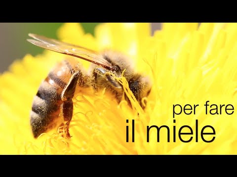 Acqua di riso per la persona di una maschera Risposte di avon una maschera un film per la persona