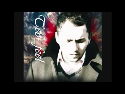 Teofil Palincas - Viata mea