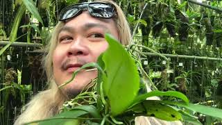 The One of a Kind Nursery to Get Lost In