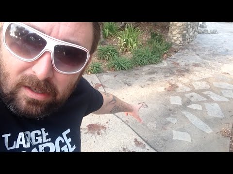 TDW 1220 - Is This A Murder Scene or Fruit Bombing ?
