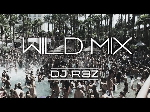 download lagu mp3 mp4 Disco Wild, download mp3 Disco Wild free downloadn, video klip Disco Wild