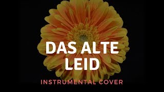 Rammstein - Das Alte Leid Instrumental Cover (Live version)