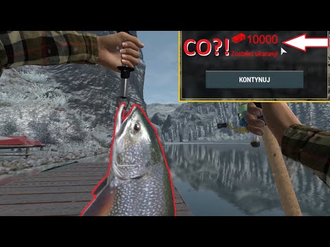 MEGA SILNE RYBY na BIAŁYM ŁOSIU i POTĘŻNA GRZYWNA! FP #8