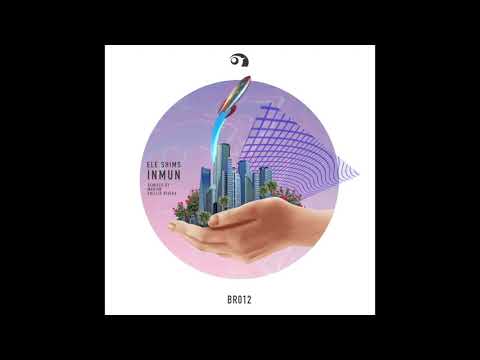 [BR012] Ele Shims - lupp (Original)