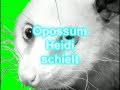 Opossum Heidi schielt - Das schielende Opossum ...