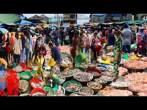 Morning Wholesale Fish Market Scenes - Plenty of Fresh Fish, Meat, & Seafood, Cambodia Street Food