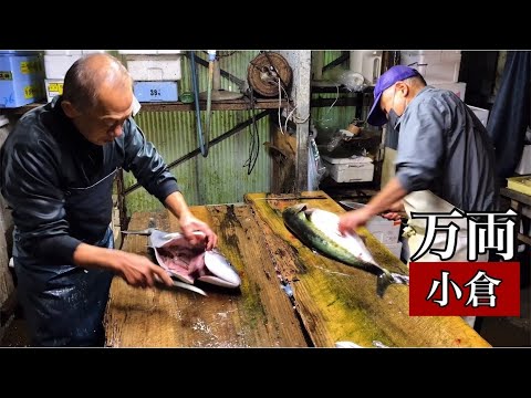 [Sushi en Kokura] ¡Cierra la cobertura desde las 3 a. m.! ¡Infíltrate en la cocina de un próspero restaurante que está abarrotado día y noche! "Manryo" Pez globo, ostras, cangrejo azul Japón-Kitakyushu Sushi