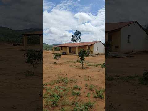 vendo barato sua grande oportunidade 34 hectares em araripina pe 8799102 3154