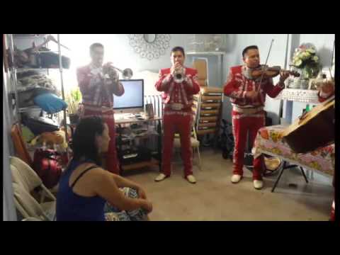 Promotional video thumbnail 2 for Mariachi Nuevo Mexico