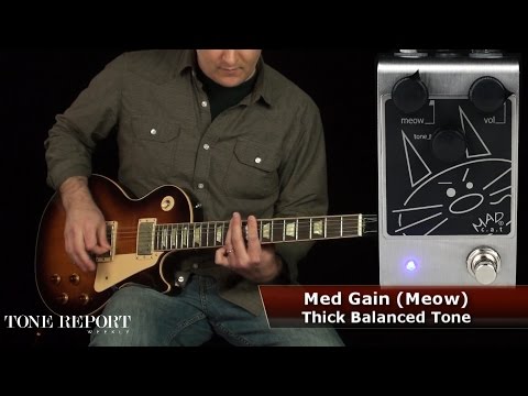 Guitartech Mad Cat Overdrive/Distortion