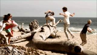 One Direction What Makes You Beautiful FAST