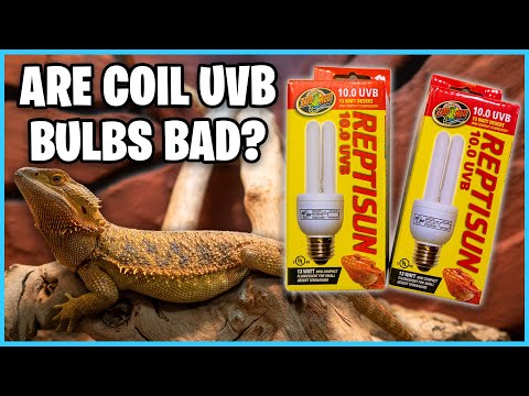 What is the BEST UVB Light for Reptiles! Reptile UVB Light Guide!