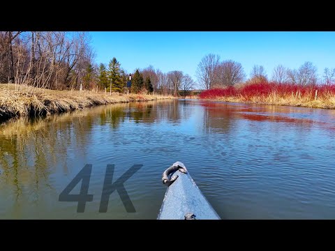 Sunny Kayaking Adventure Down Willow Creek ~ 4K River Kayaking ~ Nature Ambience