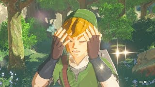 Zelda: BOTW (Link Fully Upgrades His Skyward Sword Outfit)