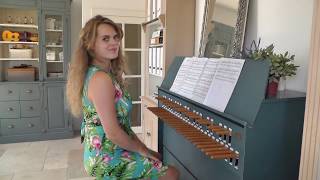 Lydia Zwart playing The Third Man Theme | Anton Karas