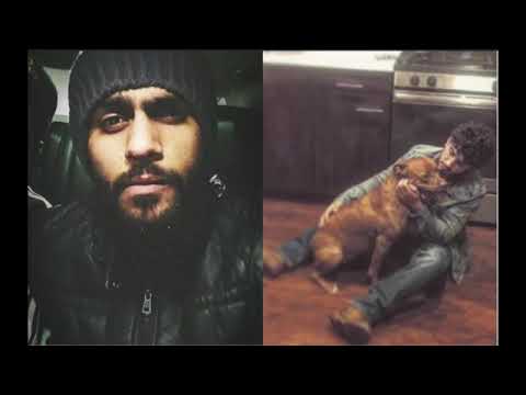 صقر العرب راب اقعد ولبد ولا يا مشم ازلم واحد بين المل ٢٠٢٠