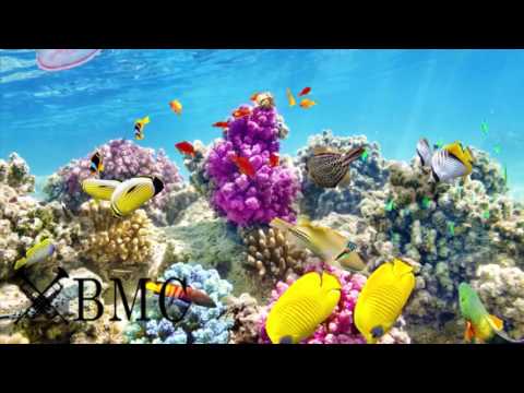 Instrumental-Musik, die für das Studium Konzentration Speicher