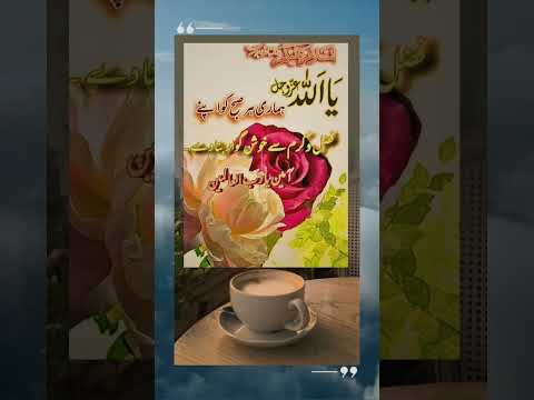 subha bakhair / Good Morning Status Beautiful #subhabakhair #goodmorning #islamic #dua #muslim #deen