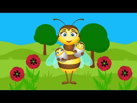 , title : 'Film edukacyjny o pszczołach'