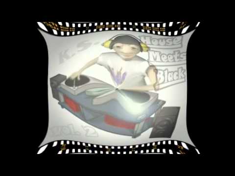 House Rockerz ft Big Ali   Herzrasen PartyBanger RemiX DJ KS