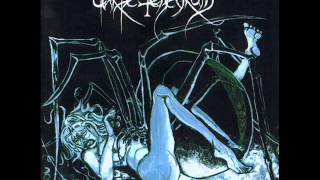 Carpe Tenebrum - Majestic Nothingness (Full Album)