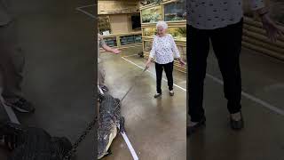 Walking My Gator With Granny Ross! 🐊🤩 by Prehistoric Pets TV