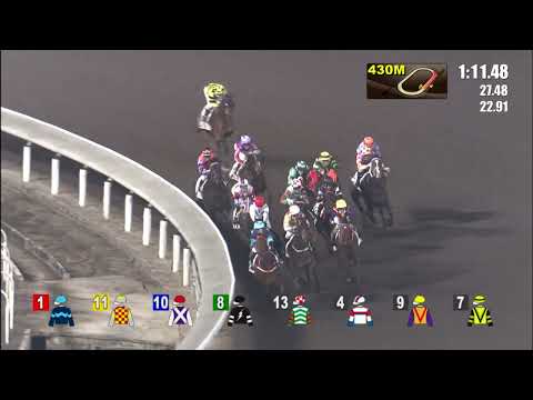 29/12/2021 (294) All Joyful - B Shinn