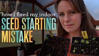 Indoor seed starting: How I fixed my celery mistake.