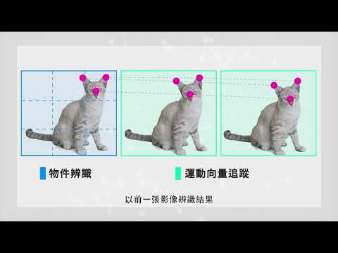 神經網路視訊辨識作業系統