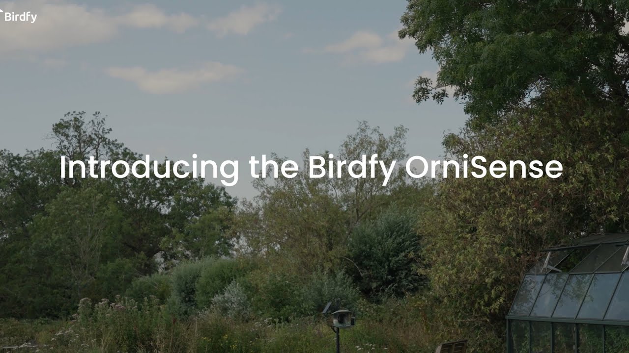Birdfy OrniSense | Not Just Bird ID &mdash; This LLM-Powered AI Tells You Why It&rsquo;s That Bird - YouTube