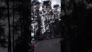 Download lagu Story wA Puncak bogor yang menawan mp3